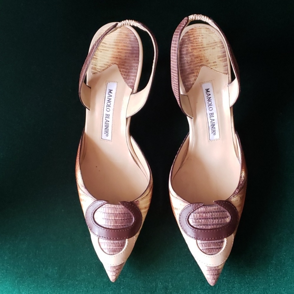 Manolo Blahnik Carolyne Multi-tonal Slingback